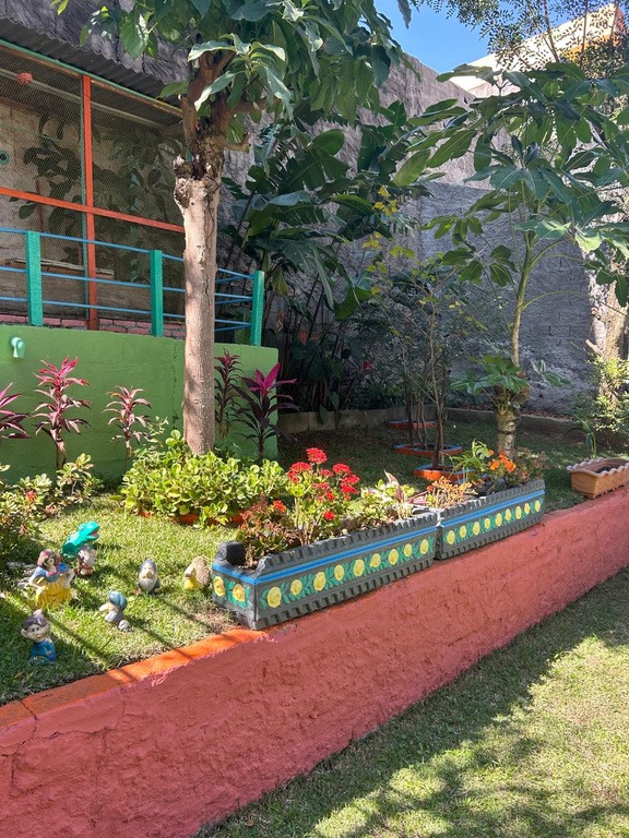 Jardim e natureza no ambiente escolar